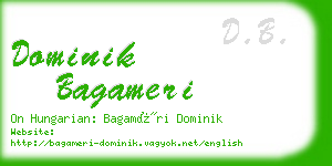 dominik bagameri business card